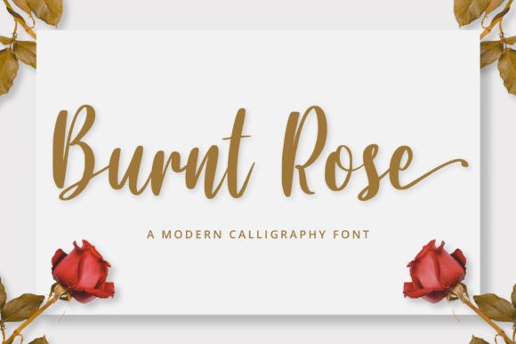 Burnt Rose Font: A Designer’s Review for Campaigns