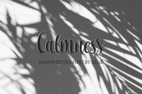 Calmness Font: Elevating Campaign Visuals with Timeless Script
