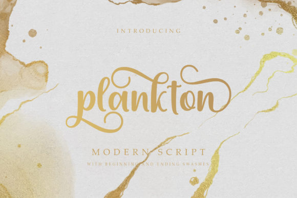 Plankton Font: Elegant Script Typography for Web Design