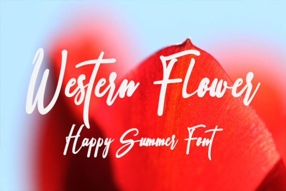 Western Flower Font: A Web Designer’s Layout Review